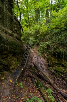 Fantastic hike through the Spetzgarter and Hodinger Tobel on Lake Constance with waterfalls and a primeval forest-like atmosphere