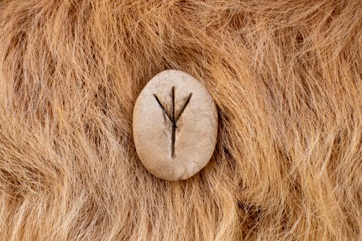 Algiz Nordic stone rune on fur. Letter Eolh of the Viking alphabet.