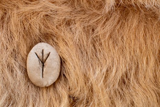 Algiz Nordic stone rune on fur. Letter Eolh of the Viking alphabet.