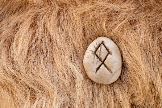 Othila or Othial Nordic stone rune on fur. Letter Ethel of the Viking alphabet.