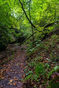 Fantastic hike through the Spetzgarter and Hodinger Tobel on Lake Constance with waterfalls and a primeval forest-like atmosphere