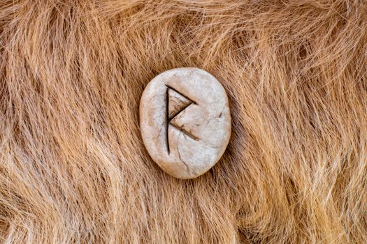 Raido or Raidho Nordic stone rune on fur. Letter Raed of the Viking alphabet.