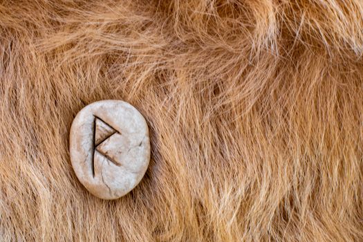 Raido or Raidho Nordic stone rune on fur. Letter Raed of the Viking alphabet.