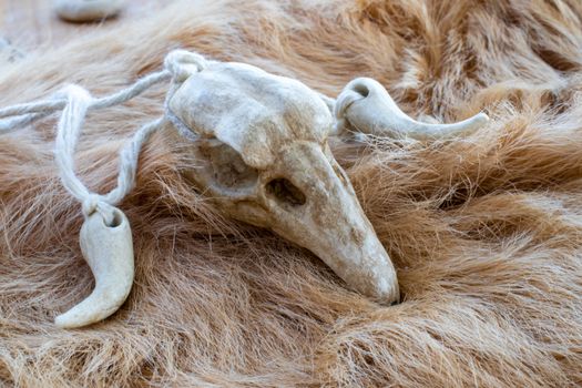 Bird skull on a fur. Necklace for rituals of a druid or magician.