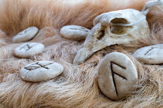 Stone Ansuz runes on a fur. Futhark viking alphabet. Close up photo of Norse runes.