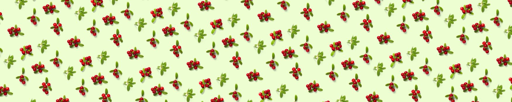 Lingonberry background on green backdrop. Fresh cowberries or cranberries with leaves as autumn or christmas background