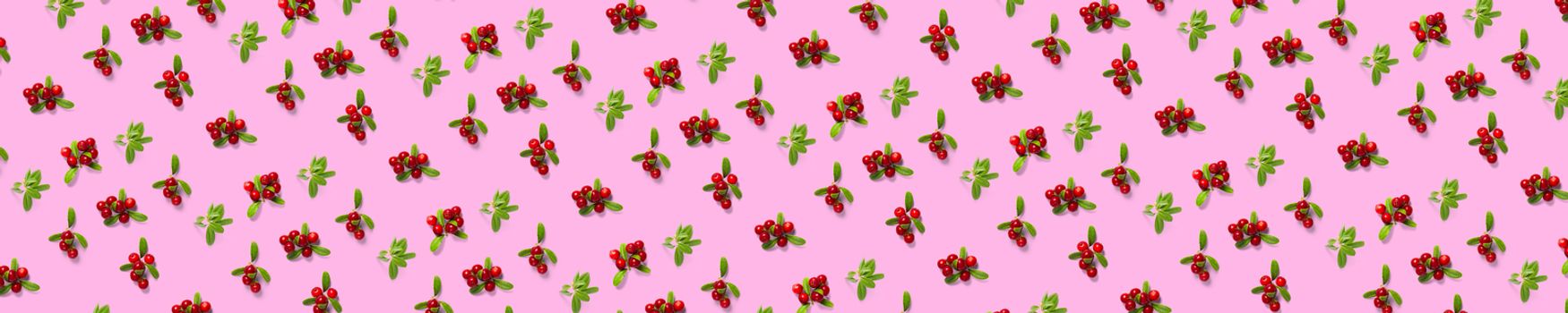 Lingonberry background on pink backdrop. Fresh cowberries or cranberries with leaves as autumn or christmas background