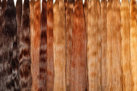Natural shiny healthy human hair bundles from dark chocolate to light wheat color with smooth gradation of shades for extensions and wigs.