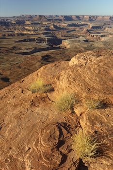 The Green River bathing in warm sunlight, Canyon Lands National Park, Utah.