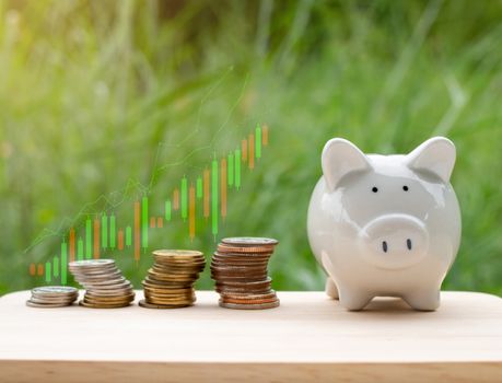 Piggy bank and Money coins with stack growing graph and nature background. business concept. saving concept.