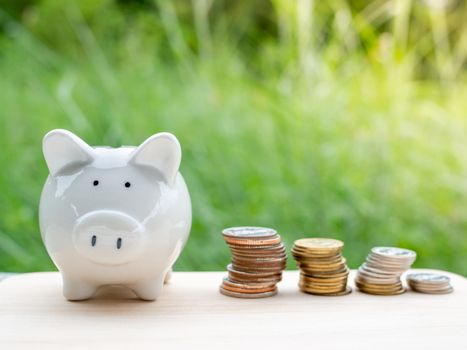 Piggy bank and silver coin placed on the wooden table. On natural background. Business and Saving concept.