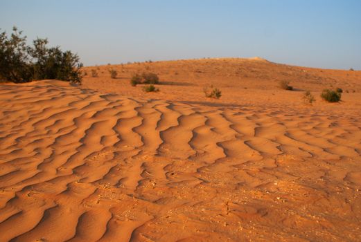 sand desert at summer in arabia and middle east