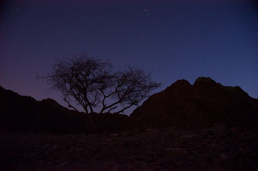 Israeli desert near Eilat southern border