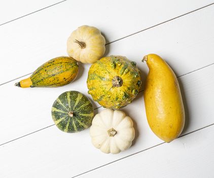 some colorful pumpkins on a white wooden table