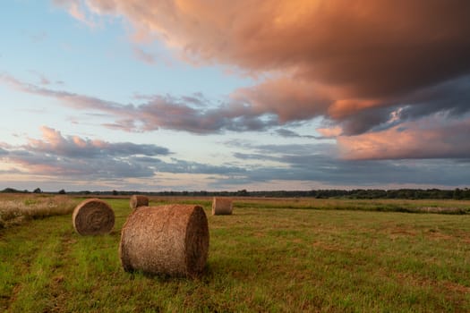 Hay bales in the field and colored clouds in the sky, summer view