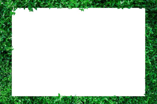 A blank sheet of white paper with copy space on a leaf background  for inserting text or pictures.