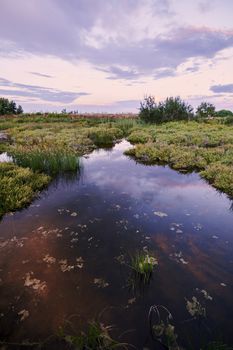 Reflections of clouds in the lake, sunset, vegetation,