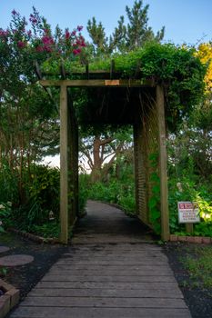 An Arbor at the Lush Garderns of the Historic Hereford Lighthouse in Wildwood New Jersey