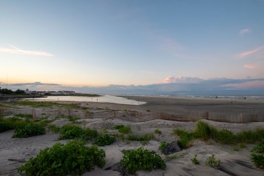 A Beautiful Beach View With Plants Dunes and a Small Wooden Fence in North Wildwood New Jersey