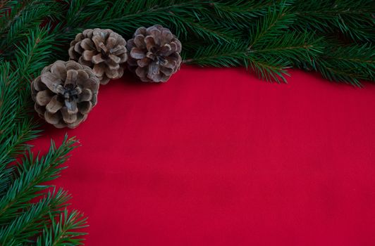 Three pine cones and blue spruce branches lie on a red background. The concept of the New year and Christmas.