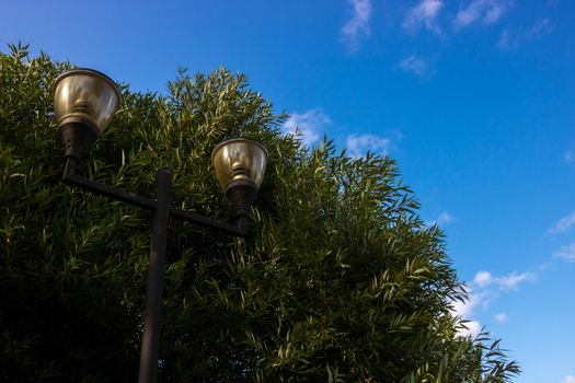 Composition in the city Park of a lantern and a Bush against the sky.