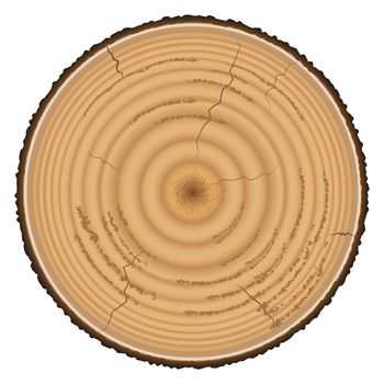 Lumber wood isolated on white background.