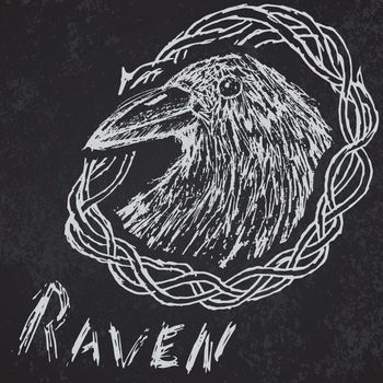 Crow raven handdrawn sketch in blackthorn on blackboard.