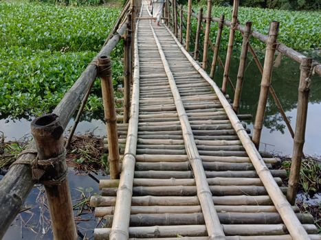 bamboo bridge on river with green view