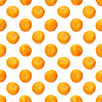 Seamless pattern with pumpkin. Pumpkin quality pattern. Autumn abstract seamless pattern made from Pumpkins on the white background.