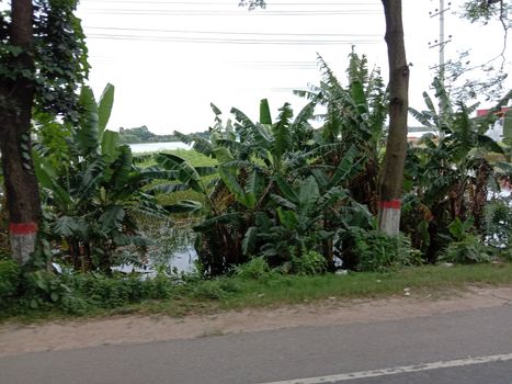 Highway closeup with nature and green