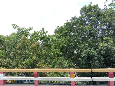 concrete bridge on river with nature