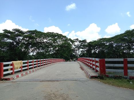 concrete bridge on river with nature