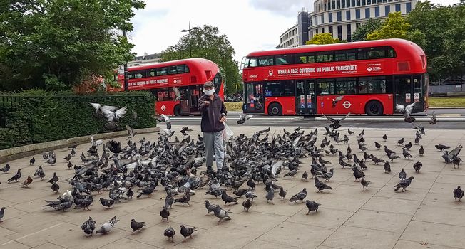 London, UK - July 8, 2020: Old man wearing a mask standing at Hyde Park entrance surrounded by pigeons next to double-deckers in London. It says on the bus - Wear a face covering on public transport.
