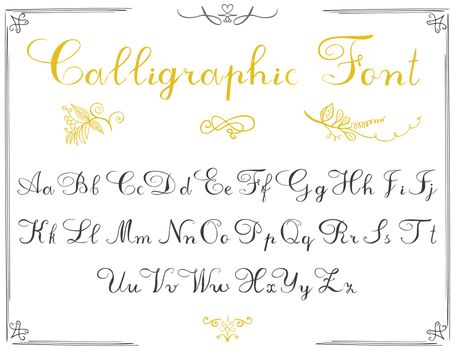 Alphabet letters, hand drawn calligraphy font. Vector alphabet. Hand written letters of the alphabet and decoration elements isolated on white background.