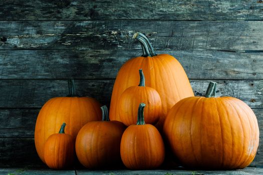 Many orange pumpkins on dark wooden background, Halloween concept