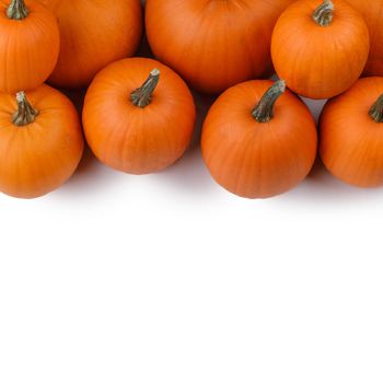 Heap of many orange pumpkins on white background , Halloween concept , copy space for text