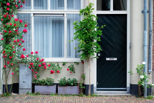 Door and window of an old house in Utrecht, Netherlands