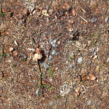 High resolution seamless texture of a forest ground with autumn leaves and nuts