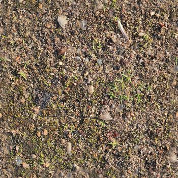 High resolution seamless texture of a forest ground with autumn leaves and nuts