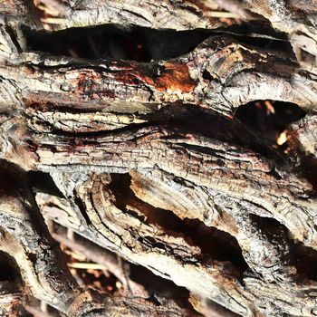 High resolution seamless texture of a forest ground with autumn leaves and nuts