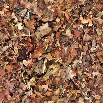 High resolution seamless texture of a forest ground with autumn leaves and nuts