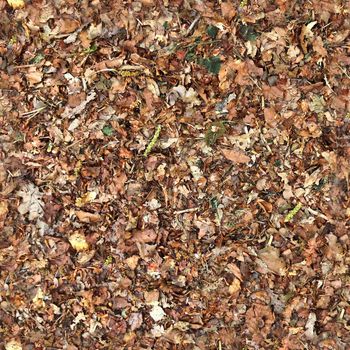 High resolution seamless texture of a forest ground with autumn leaves and nuts