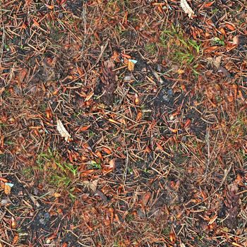 High resolution seamless texture of a forest ground with autumn leaves and nuts