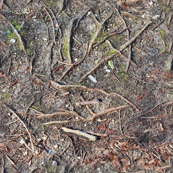 High resolution seamless texture of a forest ground with autumn leaves and nuts