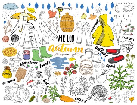 Autumn season set. Hand drawn doodles and lettering vector illustration