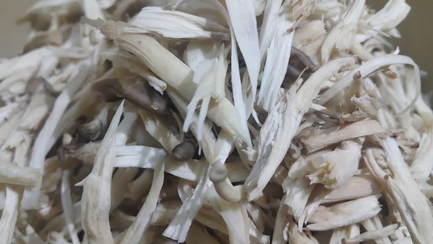 Closeup view of big pile of fresh harvested mushrooms. Food background of mushrooms in market for sale. A Vegetables background