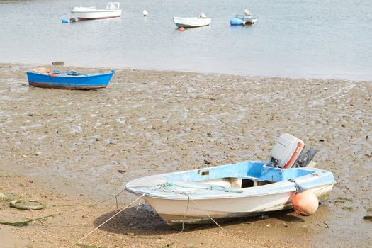 Fishing bay with boats at sea and in the mud and crabs walking in the sand