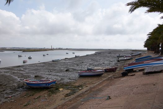 Fishing bay with boats at sea and in the mud and crabs walking in the sand