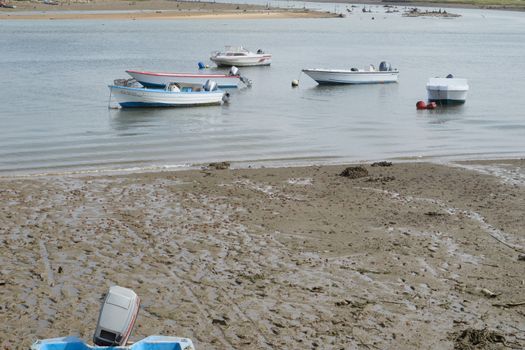 Fishing bay with boats at sea and in the mud and crabs walking in the sand