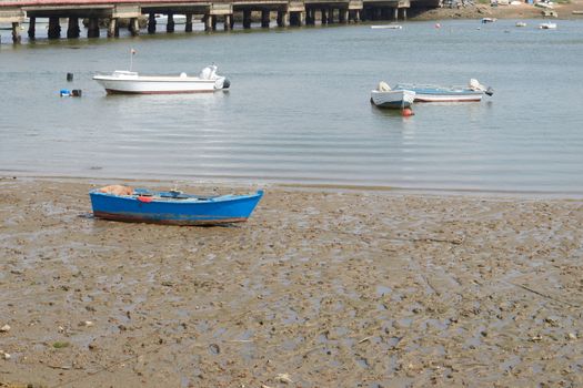 Fishing bay with boats at sea and in the mud and crabs walking in the sand